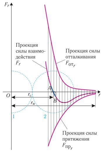 Как силы притяжения влияют на поведение мух