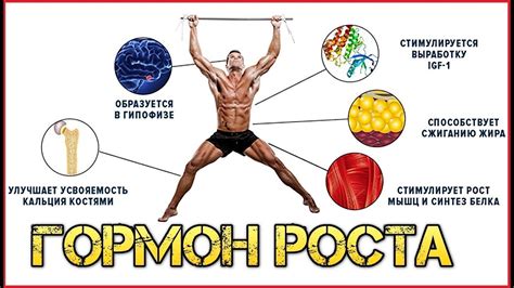 Как сохранить гормон роста в условиях высокой влажности
