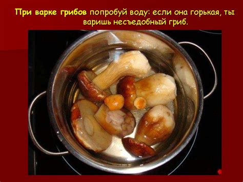 Как часто менять воду при варке грибов