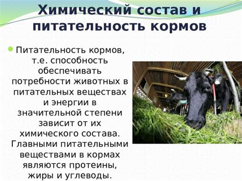 Качество кормов и их состав