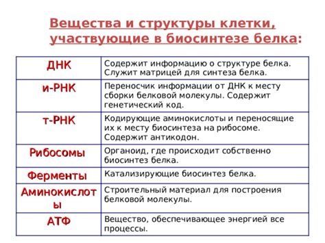 Кодирование белковой информации
