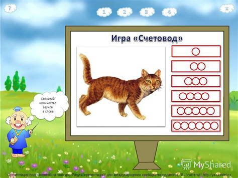 Количество звуков в словосочетании "тонкошеее животное"