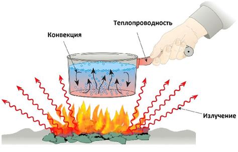 Конвекция и перемешивание водных масс