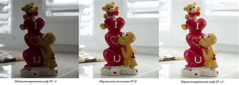 Контролируйте время экспозиции дрожжей