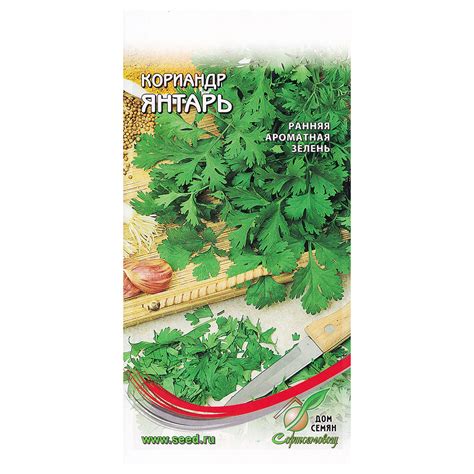 Кориандр для кулинарных целей