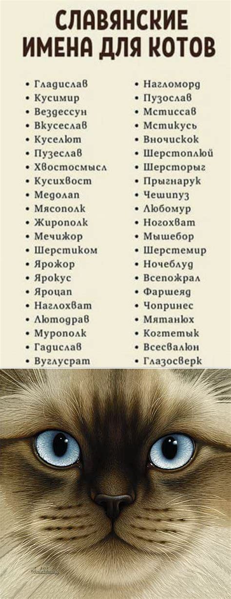 Кошкам нужны котовые имена