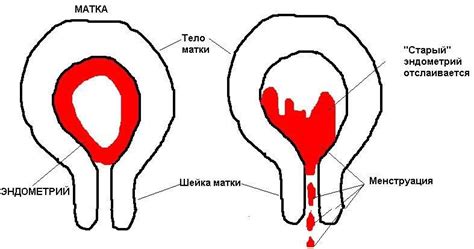 Кровотечение после родов: причины и последствия