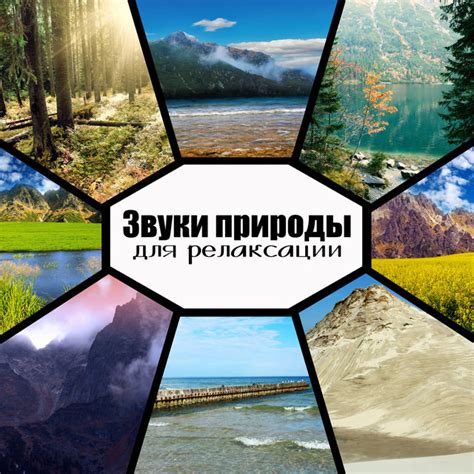 Магия звуков природы