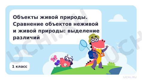 Мальчики или девочки: сравнение силы и причины различий