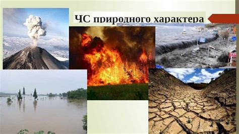 Массовое уничтожение природных врагов