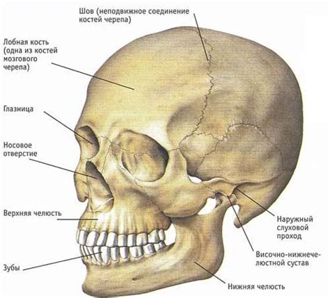 Медицинские аспекты пробития черепа