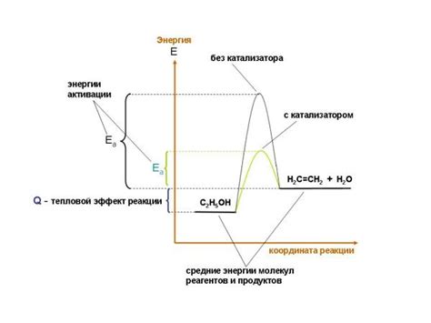Международное влияние и реакция