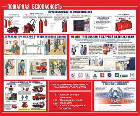 Меры безопасности и предотвращение акульих нападений
