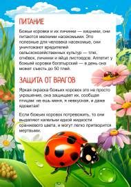 Меры предосторожности для сохранения жизни божьих коровок