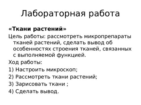 Микропрепараты – ключ к пониманию строения растений