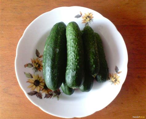 Мой любимый овощ