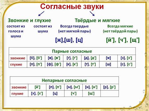 Мягкость и смягчение в русском языке