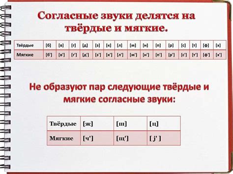 Мягкость и твердость в русском языке