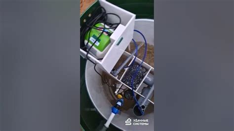 Нарушается работа микрофлоры септика