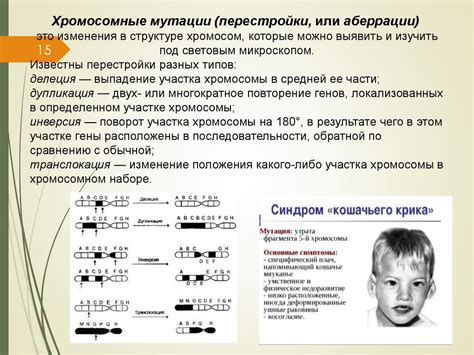 Наследственность и потливость
