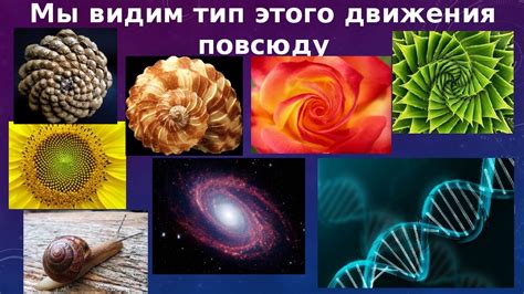 Натуральные процессы