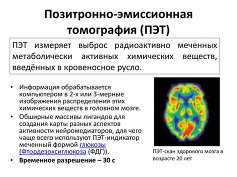 Негативное влияние углеводов перед ПЭТ-КТ