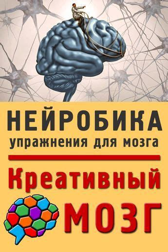 Нейропластичность и тренировка мозга