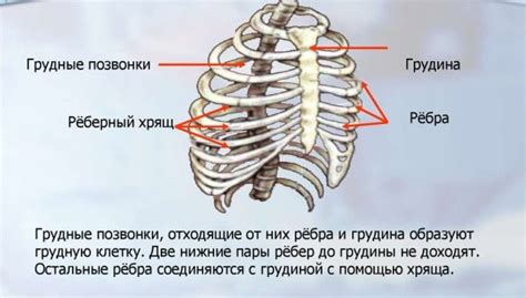 Некорректное удаление или скрытие ребер