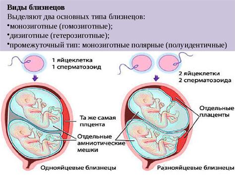 Неполное приживление эмбрионов