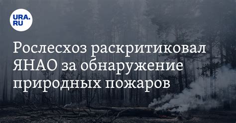 Обнаружение природных ресурсов
