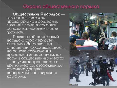 Общественный порядок и его определение