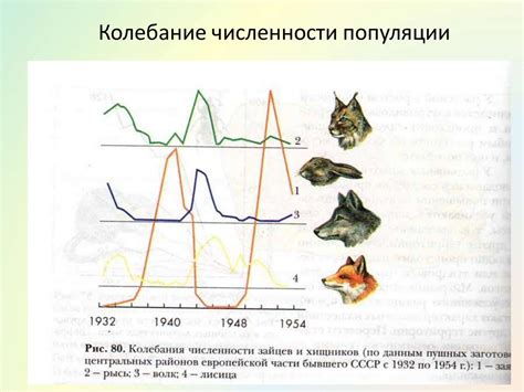 Общие тренды и динамика