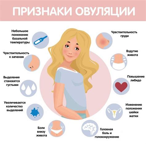 Овуляция и ее признаки у женщин