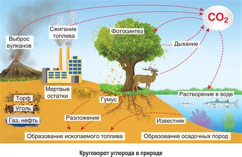 Ограничения географической области: