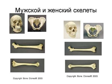 Ожидания от мужского женского выпуска