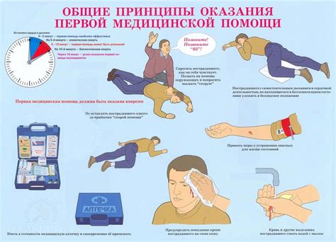 Оказание первой помощи анциструсу
