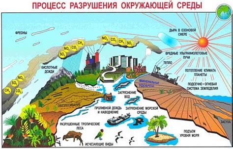 Окружающая среда и климат