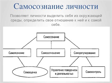 Онегин: процесс самосознания и преображения