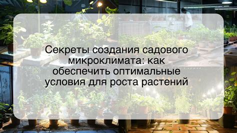 Оптимальные условия для роста крапивы