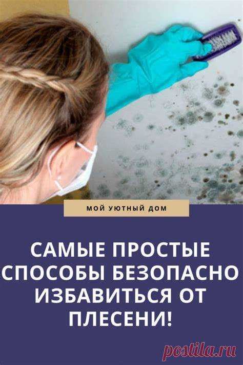 Основные методы предотвращения плесени в консервах: гигиенические меры при производстве