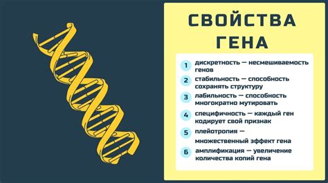 Особенности генетики
