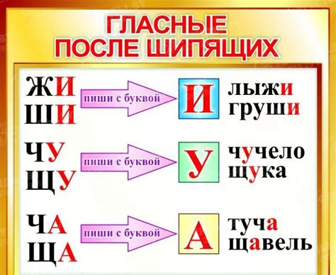 Особенности написания существительных на "-жи", "-ши", "-ча", "-ща"