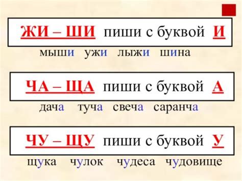 Особенности написания существительных на "-чу" и "-щу"