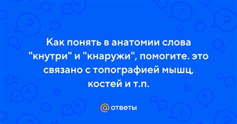 Ответы в анатомии
