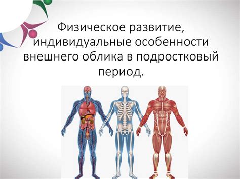 Отдельные особенности организма