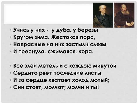 Отражение мира в стихах Фета и Тютчева