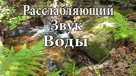 Отсутствие звуков природы