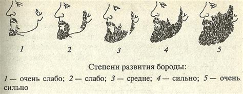 Отсутствие меланина в волосах