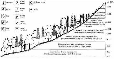 Отсутствие растительности: усиление эрозии на склонах