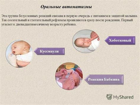 Отсутствие сосательного рефлекса у щенка: причины и их влияние